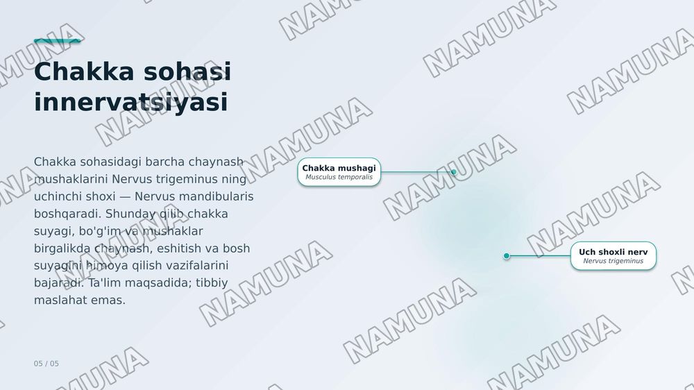 Chakka — zamonaviy taqdimot, 8-slayd