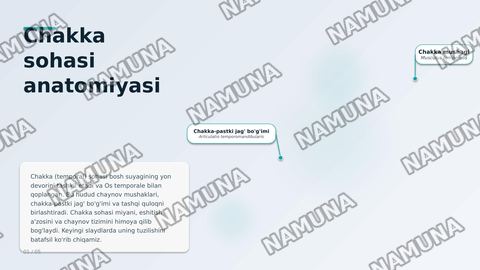 Chakka — zamonaviy taqdimot