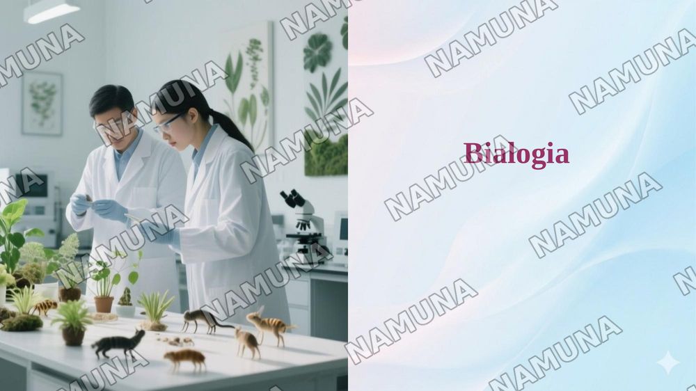 Bialogia — 1-slayd