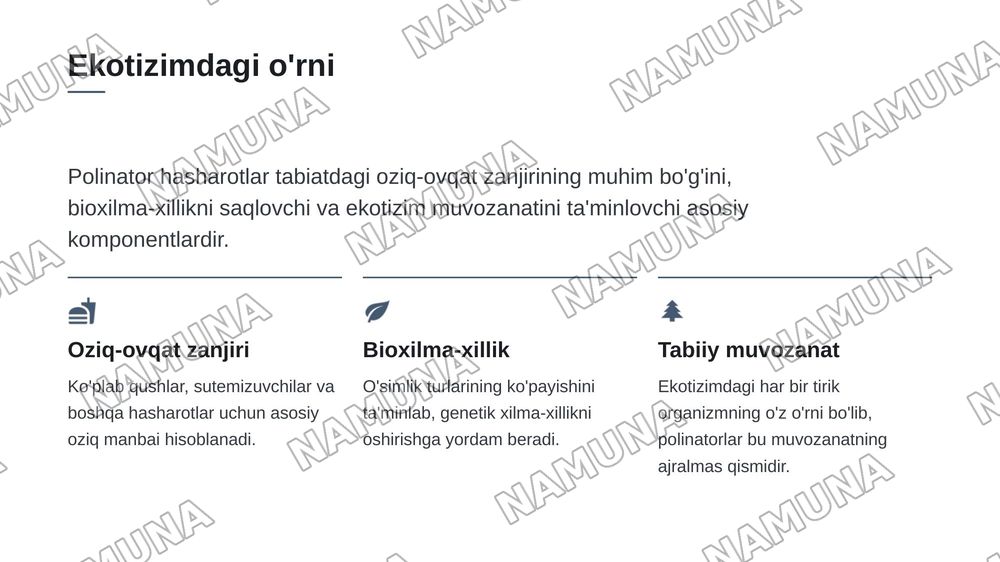 Полинатор хашоратларнинг экотизмдаги роли ва уларни камайиб кетиш сабаблари — 4-slayd