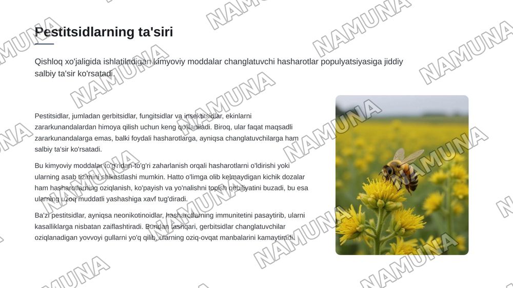 Полинатор хашоратларнинг экотизмдаги роли ва уларни камайиб кетиш сабаблари — 7-slayd