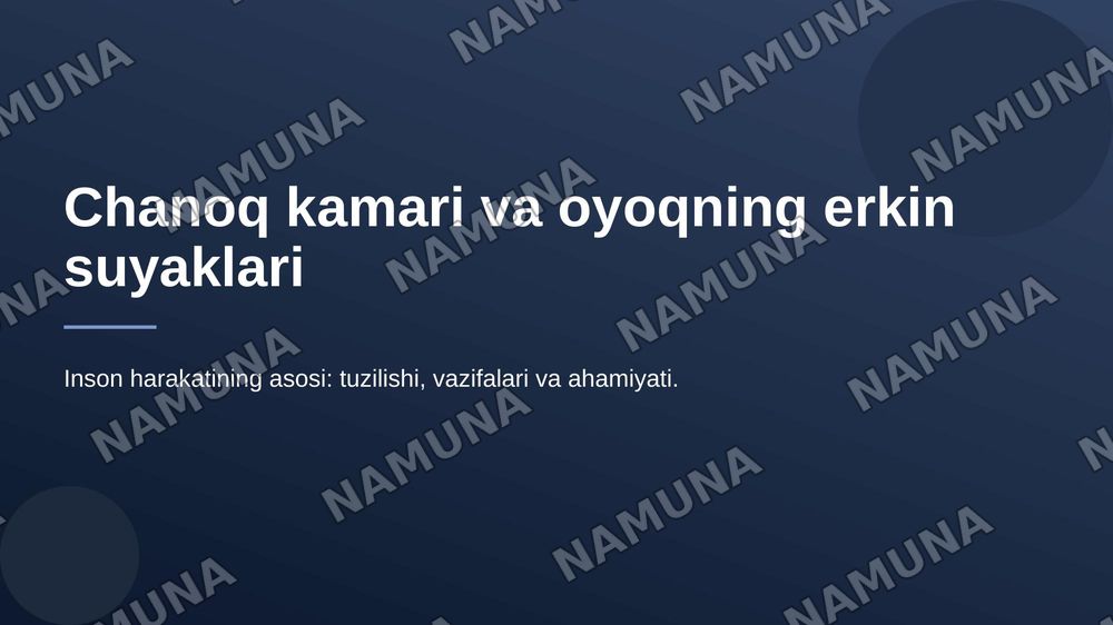 Chanoq kamari va oyoqning erkin suyaklari — 1-slayd