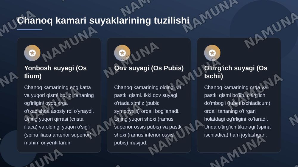 Chanoq kamari va oyoqning erkin suyaklari — 4-slayd