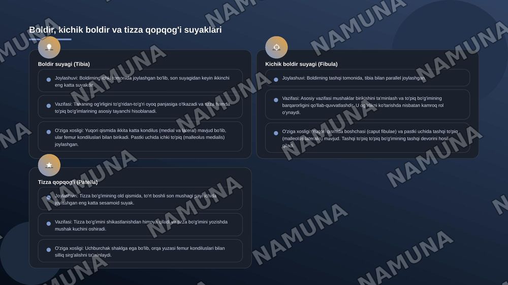 Chanoq kamari va oyoqning erkin suyaklari — 6-slayd