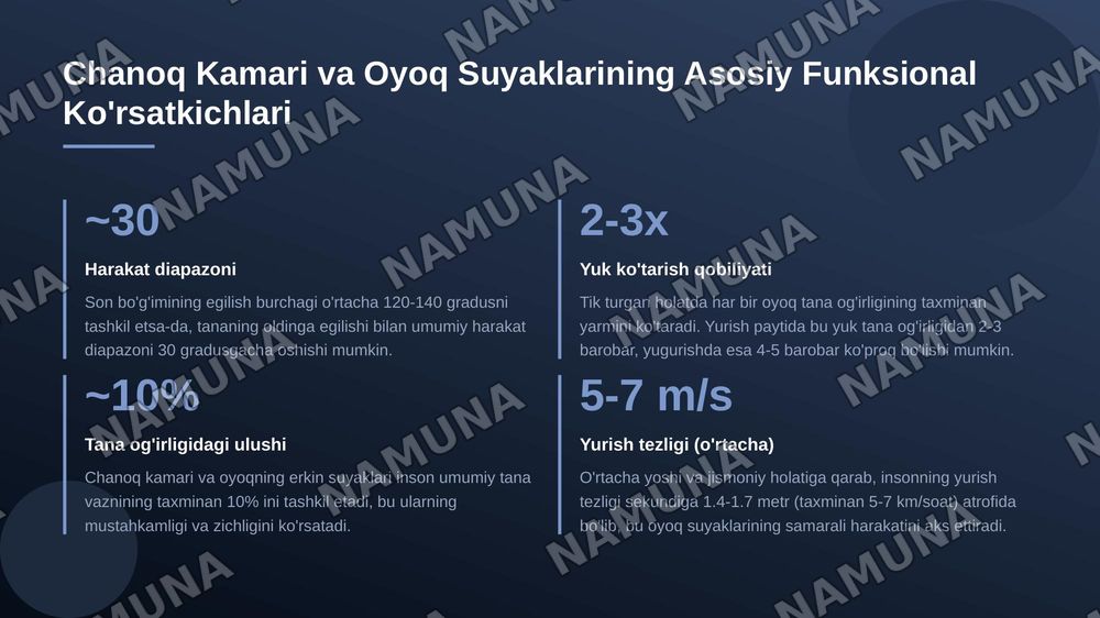 Chanoq kamari va oyoqning erkin suyaklari — 8-slayd