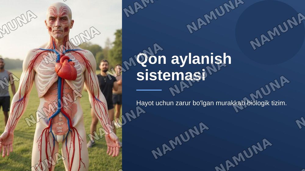 Qon aylanish sistemasi — 1-slayd