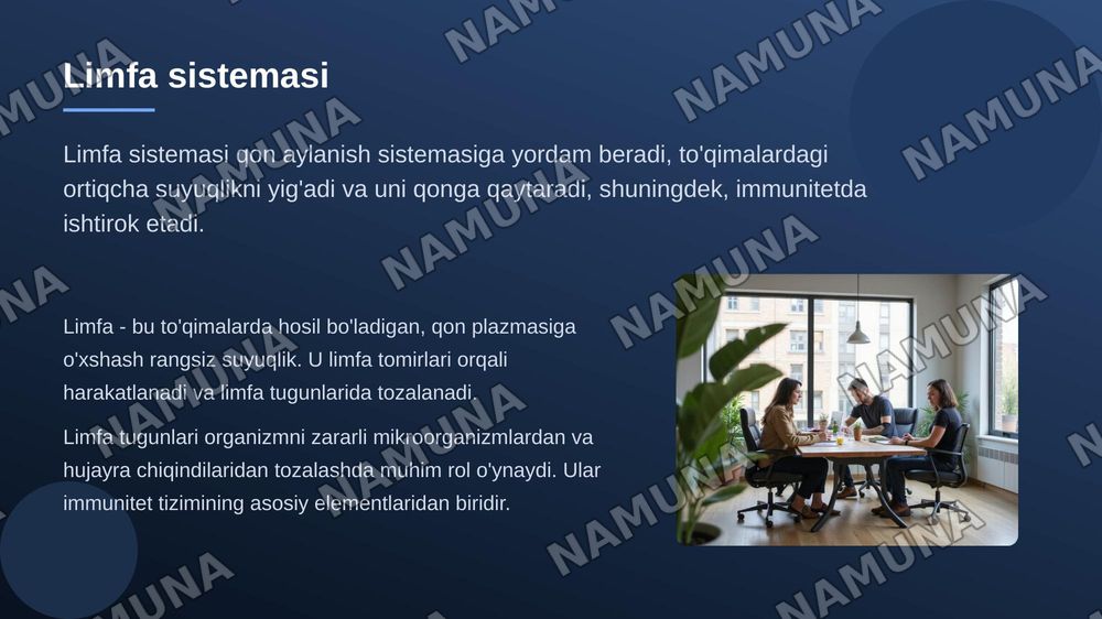 Qon aylanish sistemasi — 7-slayd