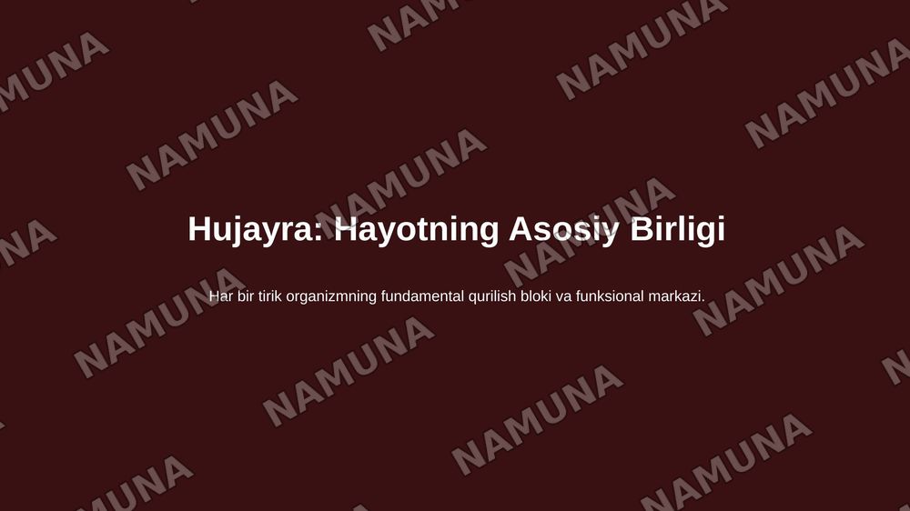 Bialogia — 4-slayd