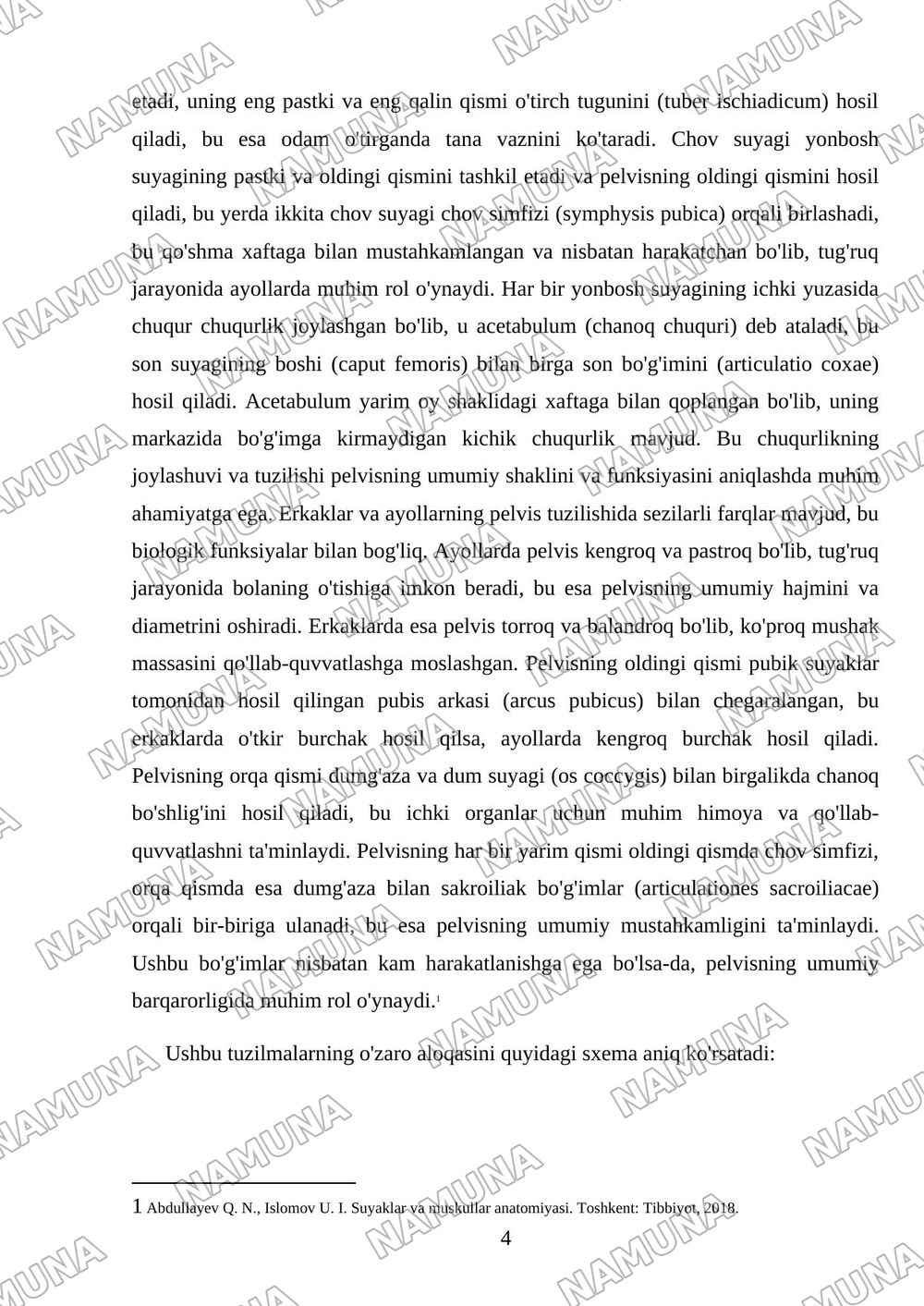 Chanoq kamari va qolning erkin suyaklari — 4-varaq