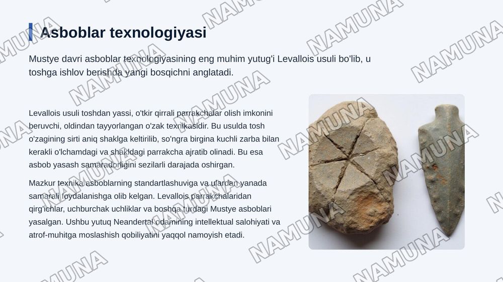 Mustye davri arxeologik yodgorliklari — 5-slayd