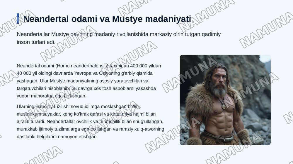 Mustye davri arxeologik yodgorliklari — 7-slayd