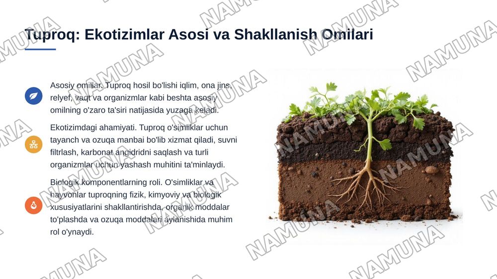 "Tuproq hosil bo'lishida o'simlik va hayvonot olamining roli" — 2-slayd