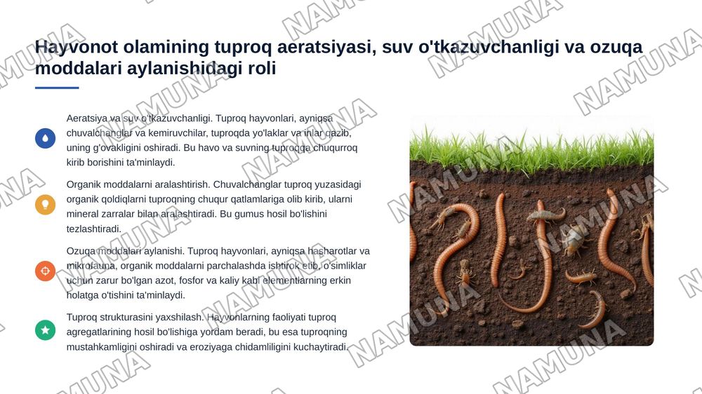 "Tuproq hosil bo'lishida o'simlik va hayvonot olamining roli" — 4-slayd