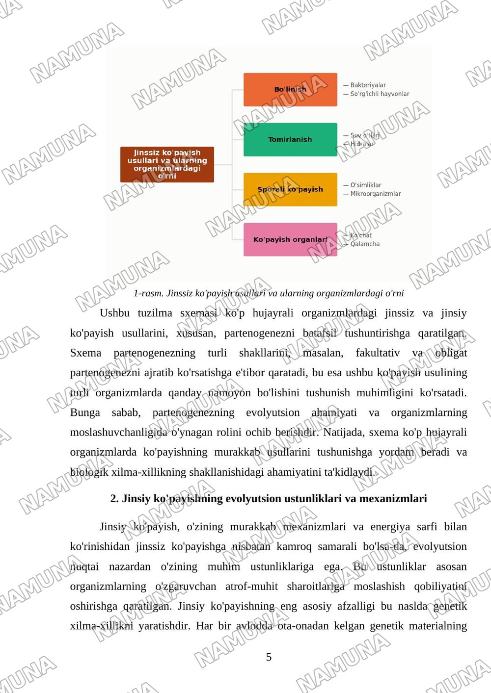 Ko’p hujayrali organizmlardagi jinssiz va jinsiy ko’payishning xillari ? Partenogenez va uning xillari — 5-varaq