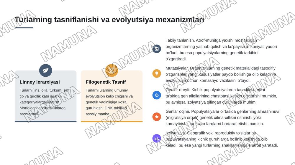 Bialogik turlar — 3-slayd