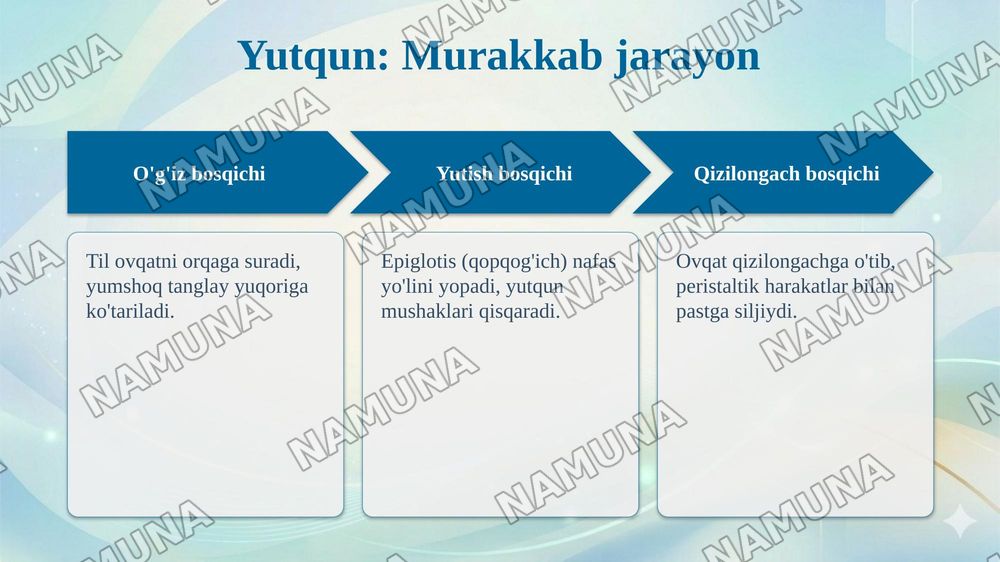 Ovqat hazm qilish sistemasi.Hazm tizimi oldingi qismi.Yutqun.Qizilongach — 5-slayd