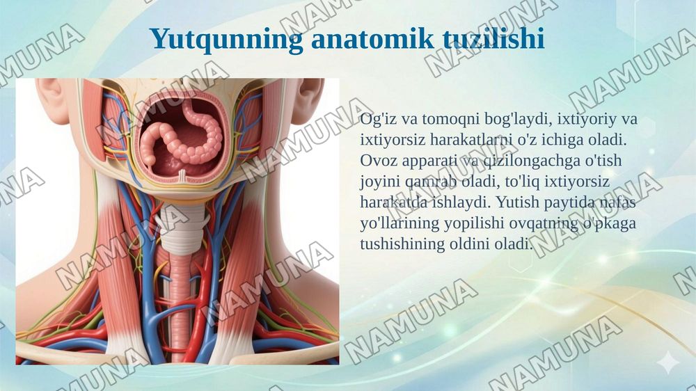 Ovqat hazm qilish sistemasi.Hazm tizimi oldingi qismi.Yutqun.Qizilongach — 6-slayd