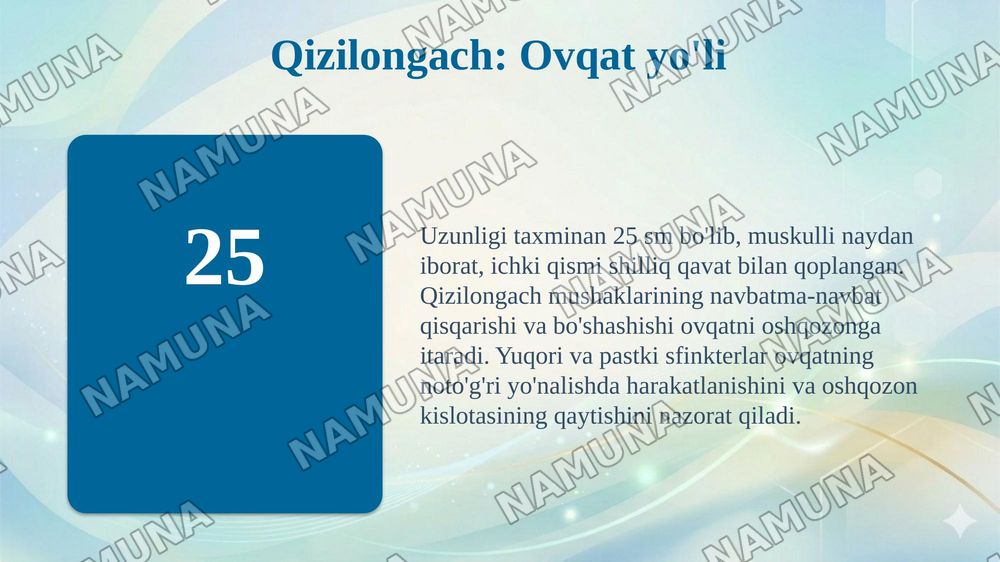 Ovqat hazm qilish sistemasi.Hazm tizimi oldingi qismi.Yutqun.Qizilongach — 8-slayd