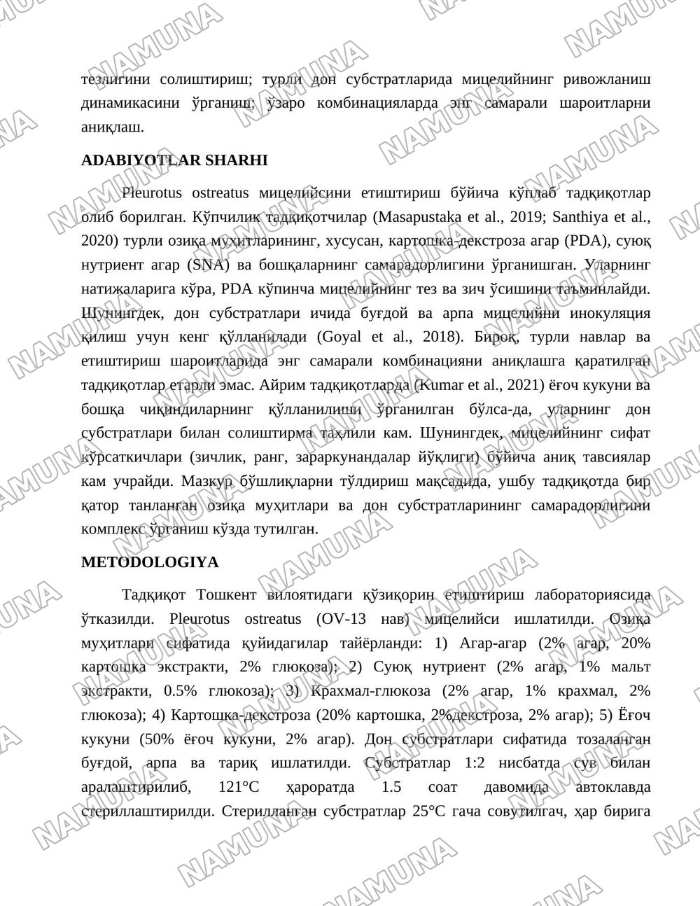 Pleurotus ostreatus мицелийсини етиштиришда турли озиқа муҳитлари ва дон субстратларининг самарадорлигини ўрганиш — 2-varaq
