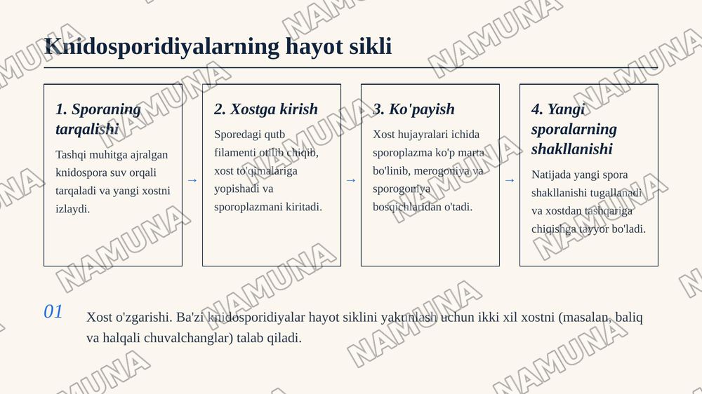 Knidosporidiyalar va mikrosporidiyalarning tip umumiy tavsifi, sistematikasi va fayl mahsuldor hayvonlarda parazitlik qilib, qo'zg'atadigan kasalliklari. — 7-slayd