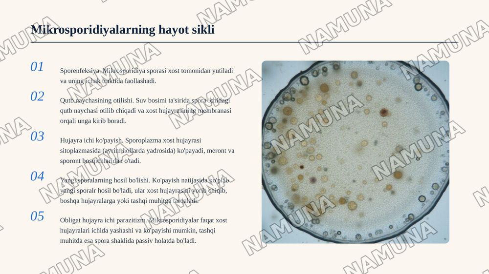 Knidosporidiyalar va mikrosporidiyalarning tip umumiy tavsifi, sistematikasi va fayl mahsuldor hayvonlarda parazitlik qilib, qo'zg'atadigan kasalliklari. — 8-slayd