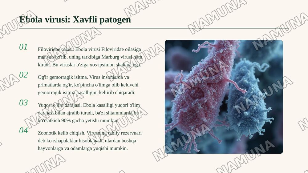 1. RNKli viruslar, ularning turlari va ebola virusi. — 7-slayd