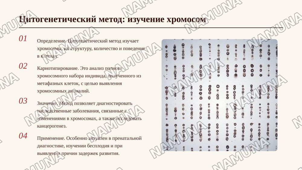 Методы изучения генетики человека: генеалогический,
П8 цитогенетический и близнецовый, дерматоглифика, популяционно-статистический, биохимический метод. — 7-slayd