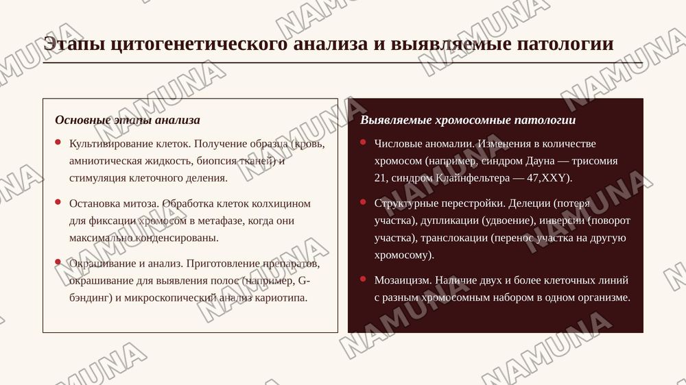 Методы изучения генетики человека: генеалогический,
П8 цитогенетический и близнецовый, дерматоглифика, популяционно-статистический, биохимический метод. — 8-slayd