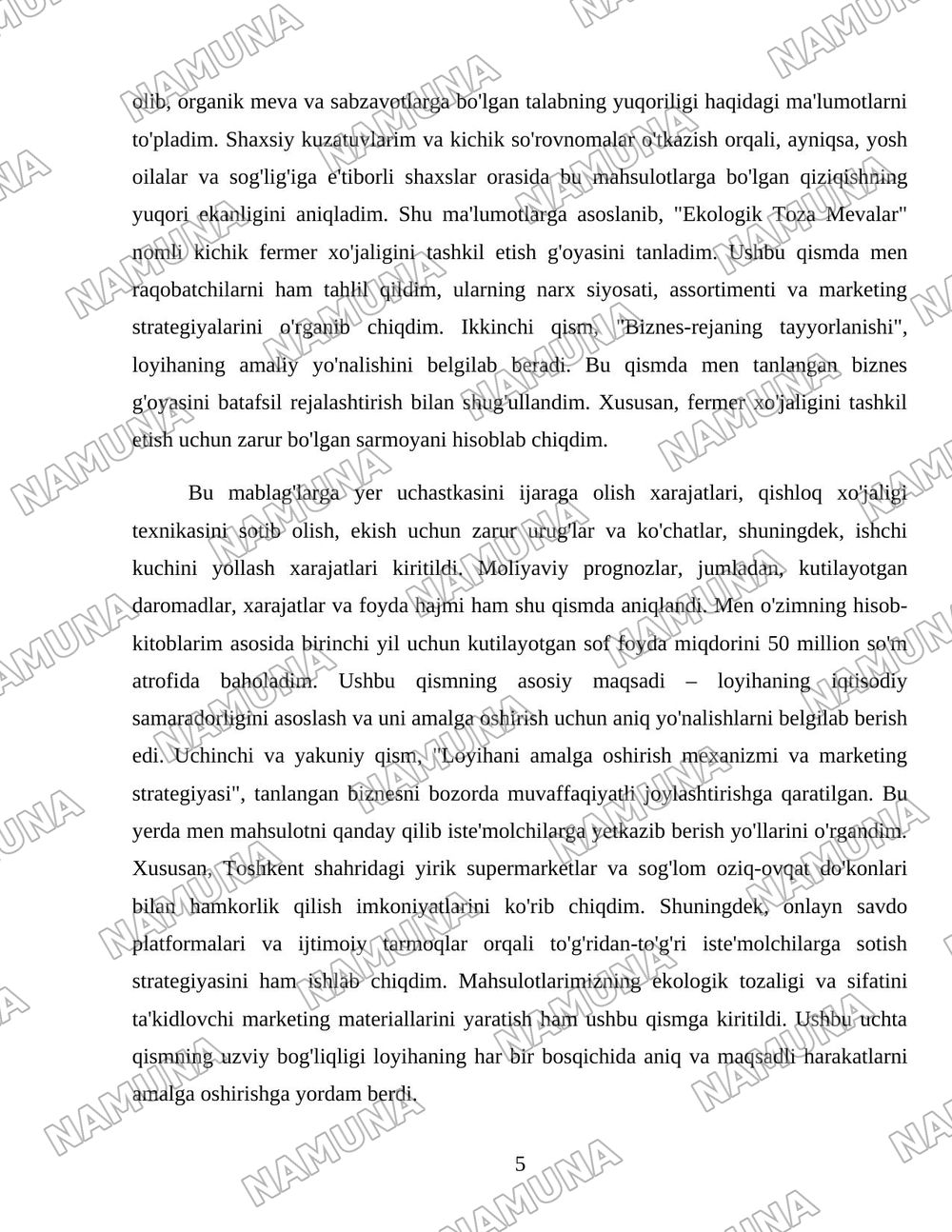 Biznes loyiha — 5-varaq