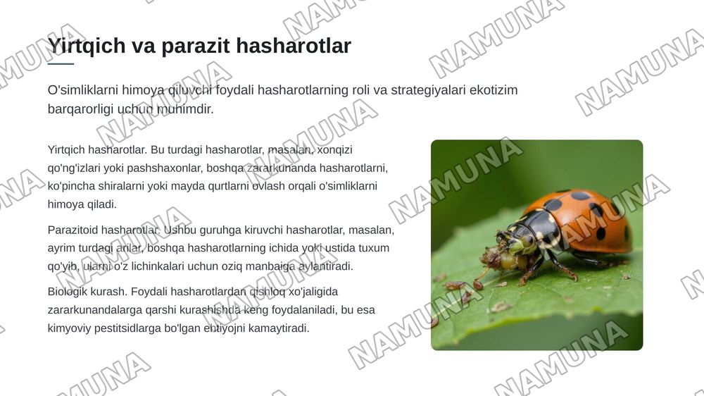 Хашоратлар ва усимликлар уртасидаги экологик муносабатлар — 7-slayd
