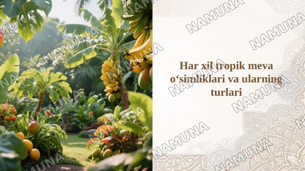 Har xil tropik meva oʻsimliklari va ularning turlari — 1-slayd