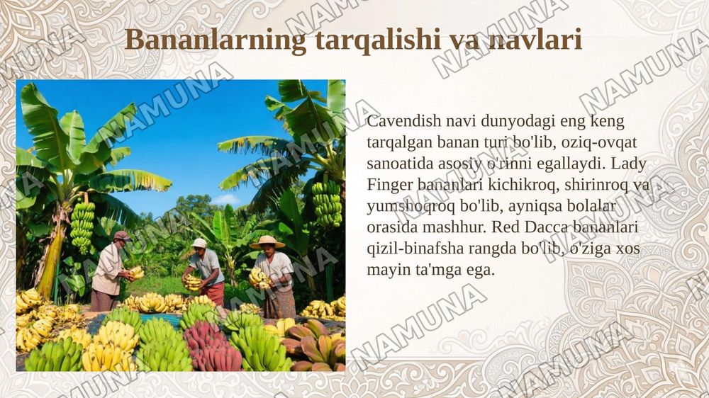 Har xil tropik meva oʻsimliklari va ularning turlari — 6-slayd