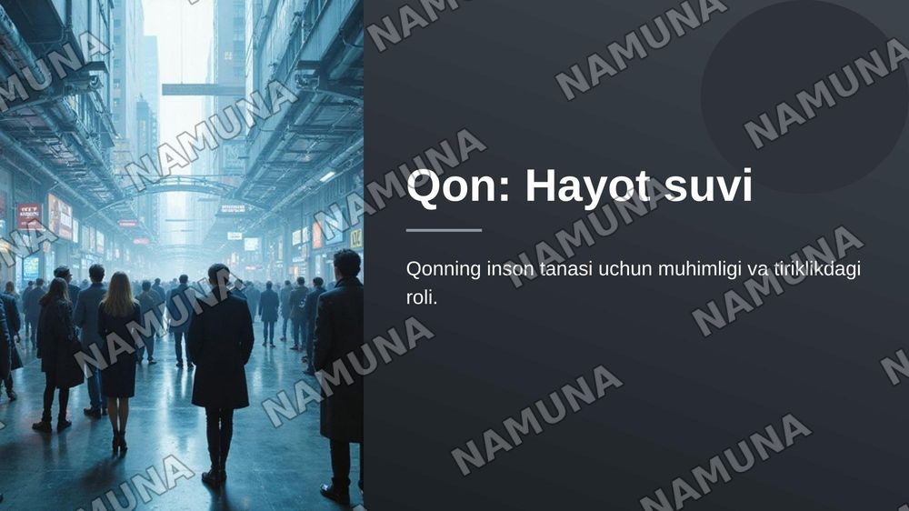 Qon — 1-slayd