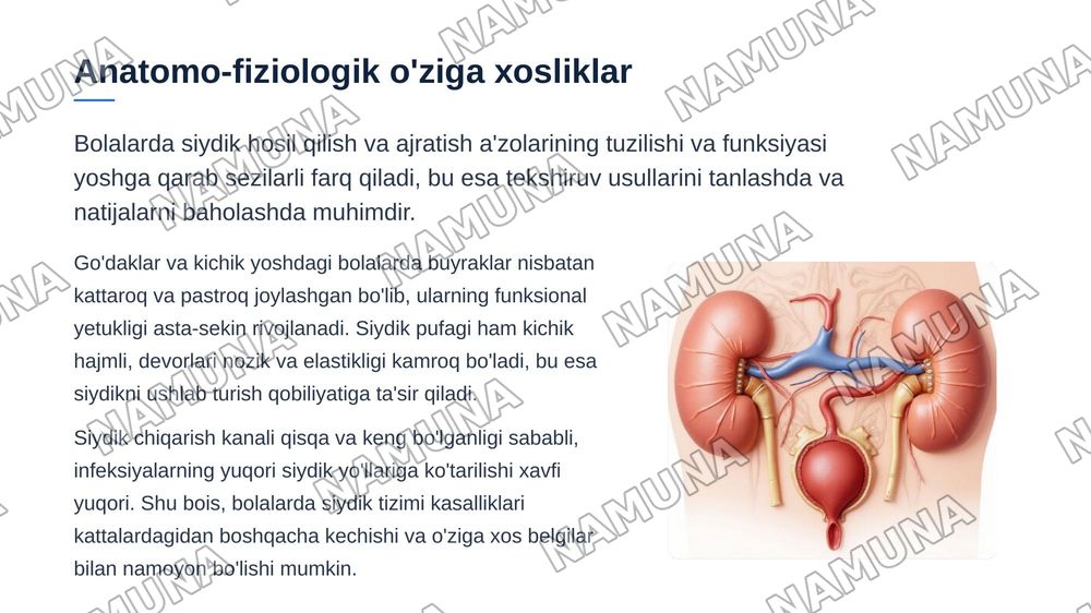 Bolalarda siydik hosil qilish va ajratish
a'zolarini anatomo-fiziologik hususiyatlariga kora tekshirish usullari. Siydik tahlillari
interpretasiyasi — 4-slayd