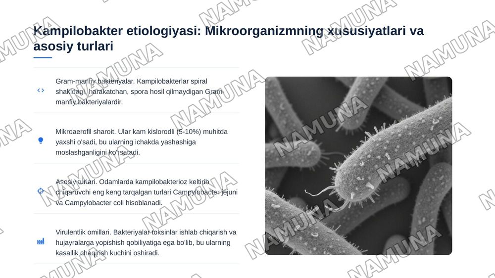Kampilobakterioz. Etiologiyasi, epidemiologiyasi, klinikasi, tashxisoti, davolash, profilaktikasi. — 3-slayd