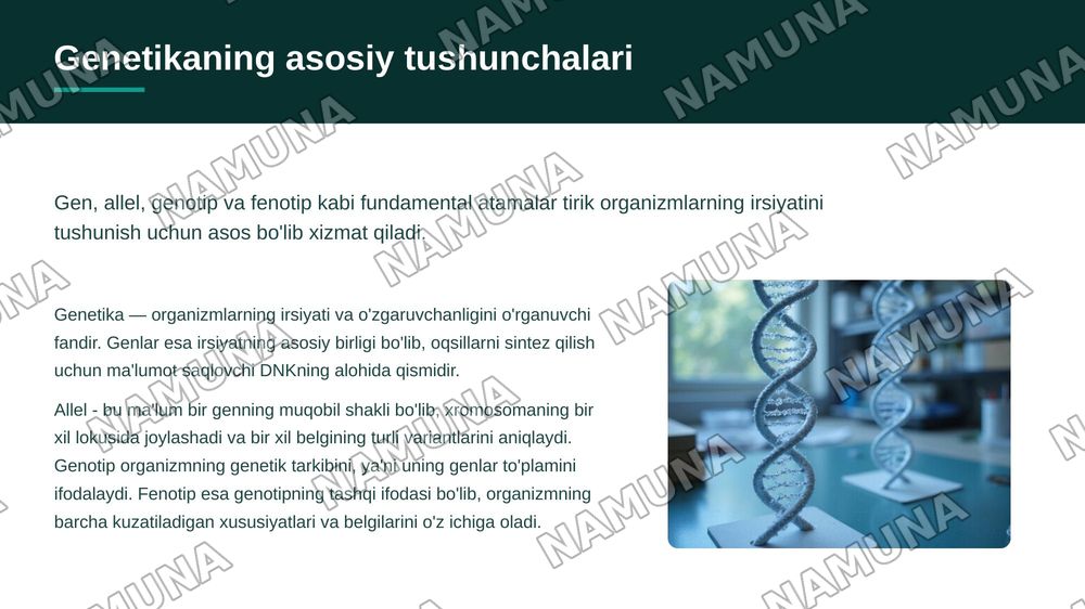 Monoduragay chatishtirish, allel genlarning oʻzaro ta'siri, Kodominantlik — 3-slayd