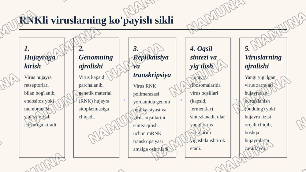 1. RNKli viruslar, ularning turlari va ebola virusi. — 5-slayd
