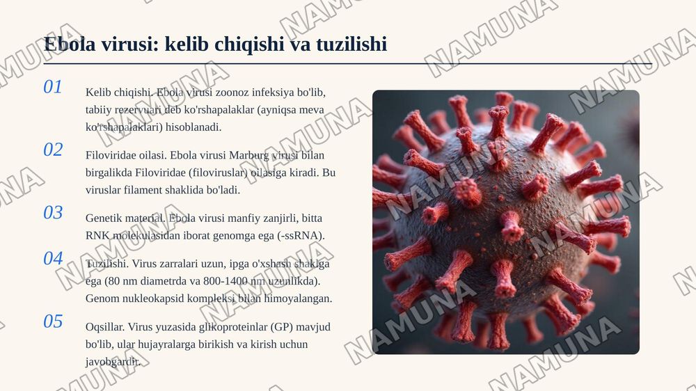 1. RNKli viruslar, ularning turlari va ebola virusi. — 6-slayd