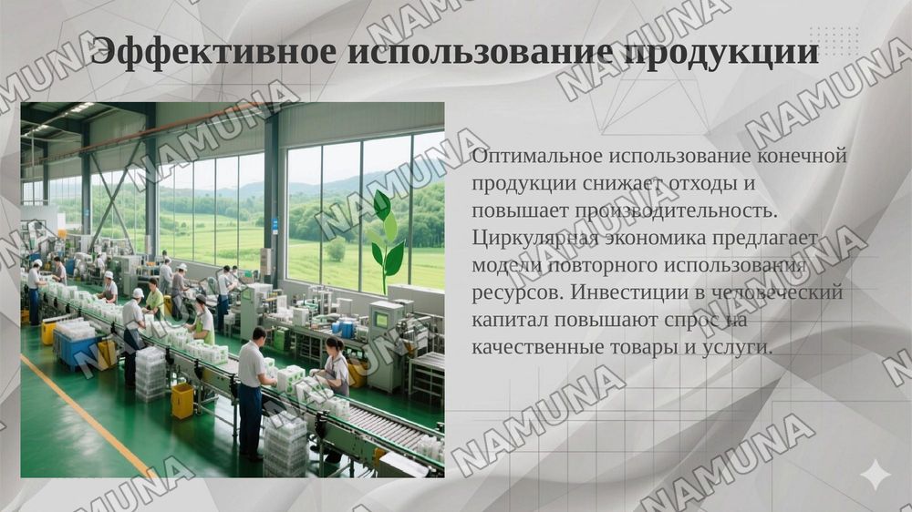 Распределение, перераспределение и использование конечной продукции. Чистое экономическое благополучие. — 6-slayd