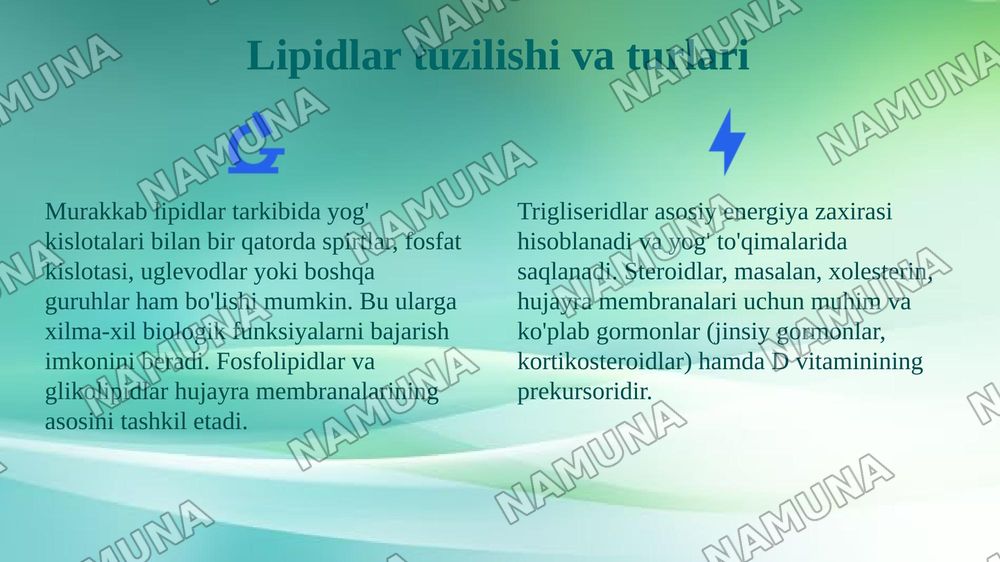 Murakkab lipidlar almashinuvi,sintezi va parchalanishi — 4-slayd