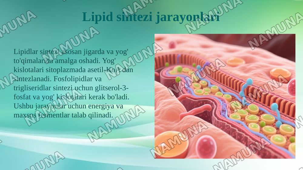 Murakkab lipidlar almashinuvi,sintezi va parchalanishi — 5-slayd