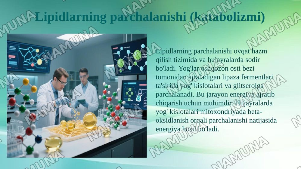Murakkab lipidlar almashinuvi,sintezi va parchalanishi — 6-slayd